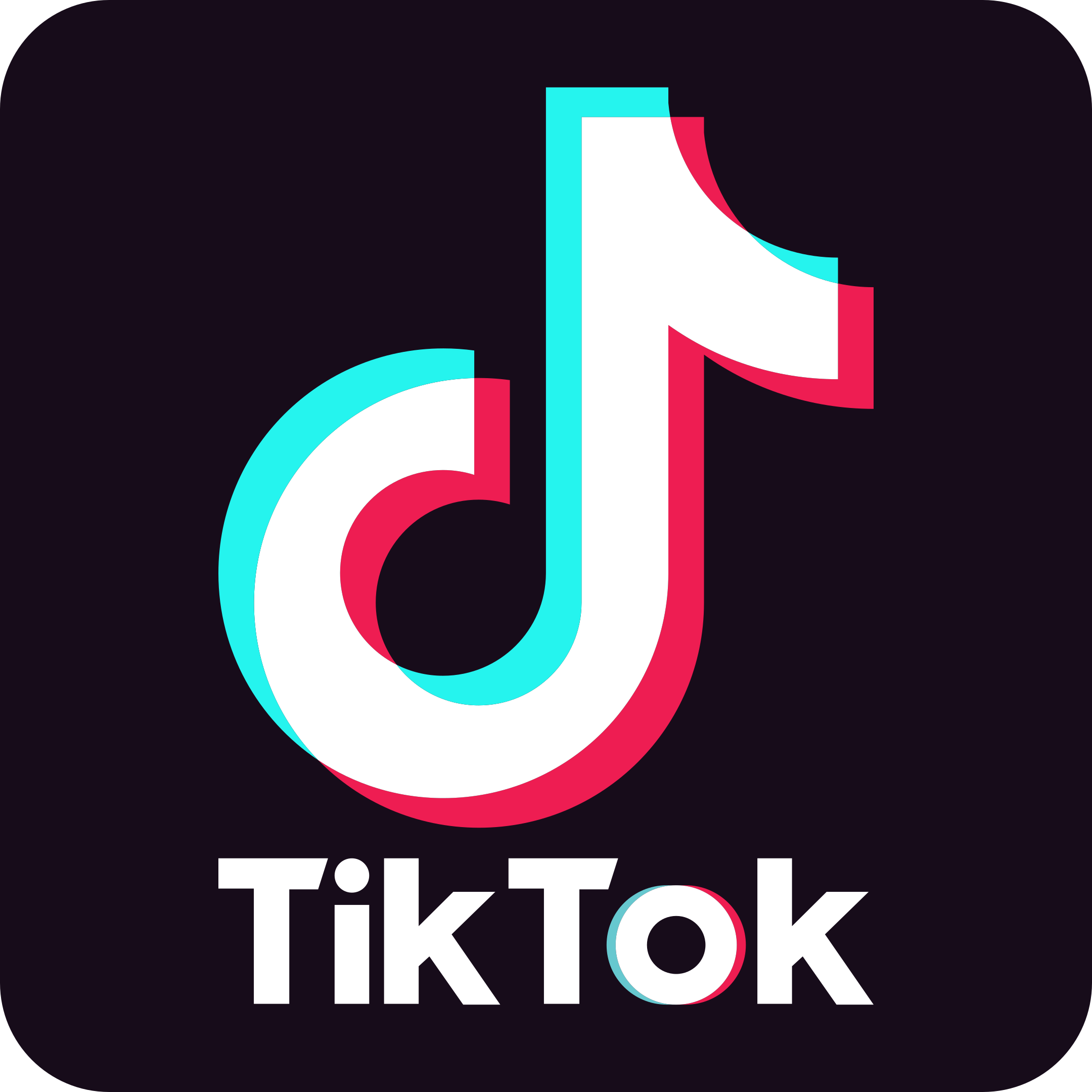 Tiktok icon